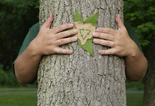 Person wrapping their arms around a tree holding a leaf and a recycling symbol on recycled cardboard